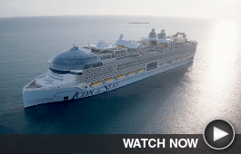 A big cruiseliner out at sea